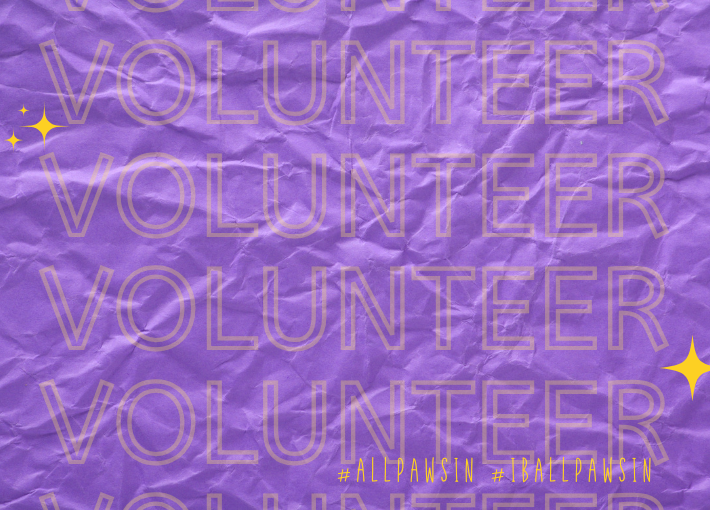 25-26 Volunteer Application